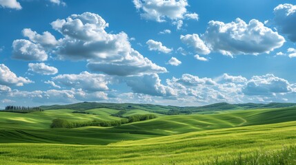 Obraz premium A panoramic view of rolling green hills and meadows under a bright blue sky dotted with puffy white clouds