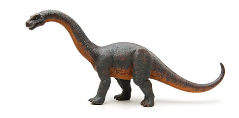 Fototapeta premium Brachiosaurus dinosaur isolated on white background