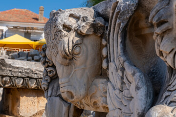 Obraz premium Turkey Aydin Province Didim District Didyma Apollon Temple Ruins Columns Worship and Prophecy Point and the Guardian of the Temple Medusa