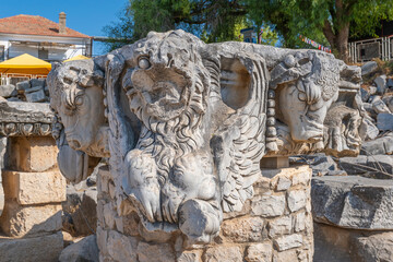 Turkey Aydin Province Didim District Didyma Apollon Temple Ruins Columns Worship and Prophecy Point and the Guardian of the Temple Medusa
