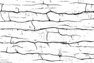 Obraz premium Background image of wood slice with detailed wooden texture for stocks.