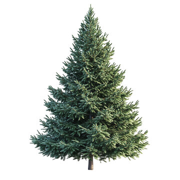 Fir tree isolated on transparent background. Generated ai