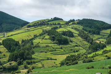 Hügellandschaft auf der Insel São Miguel