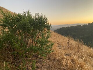 Landscape in the vicinity of the city of Pittsburg (California. USA)