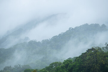 Misty rainforest mountains in the Wet Tropics World Heritage Area, northern Queensland, Australia