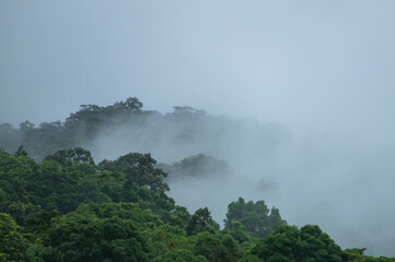 Misty rainforest mountains in the Wet Tropics World Heritage Area, northern Queensland, Australia