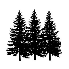 Silhouette of evergreen pine trees in black, Black silhouette of tall evergreen pine trees, featuring detailed branches and a simple design, isolated on a white background.
