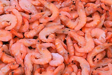 Large boiled and frozen shrimps in a refrigerated display case at a supermarket