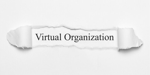 Virtual Organization	