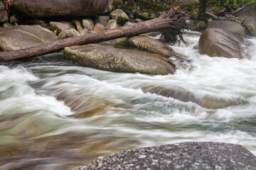 Rainforest creek in the Wet Tropics World Heritage Area of northern Queensland, Australia