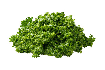 Obraz premium Fresh green pesto sauce isolated on a white transparent background. Concept of homemade food and healthy eating
