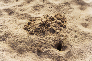 Pits in the sand from newborn turtles in Antalya Turkiye