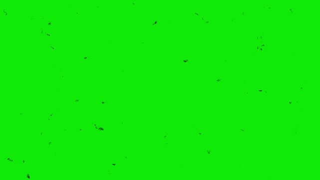 spotting horror effects with flicker screen with green screen isolated
