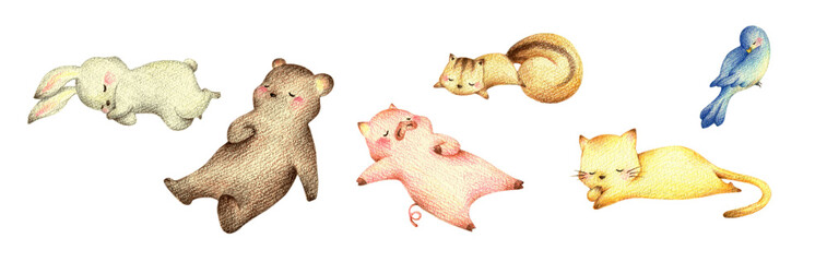 眠る動物たちのセット1　手描き色鉛筆画