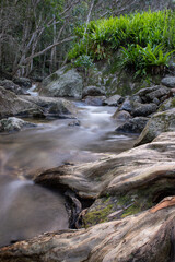 Rainforest creek in the Wet Tropics World Heritage Area of northern Queensland, Australia