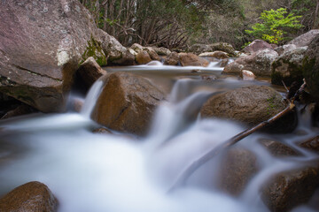 Rainforest creek in the Wet Tropics World Heritage Area of northern Queensland, Australia