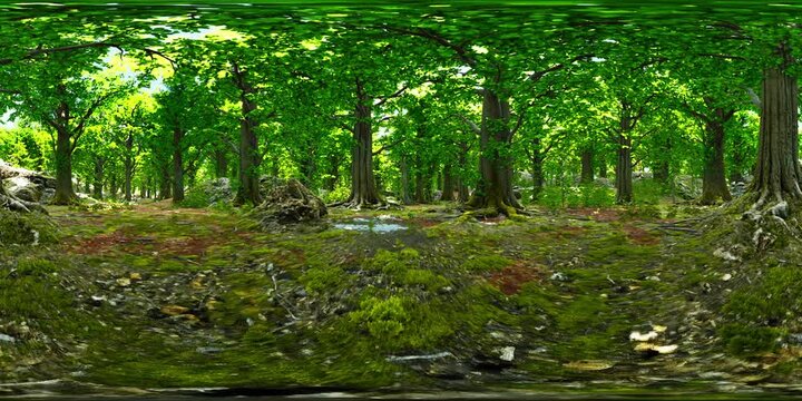 A Serene Journey Through a Lush, Enchanting Forest Wonderland