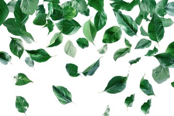 A bunch of green leaves flying through the air, captured in a moment of suspended motion
