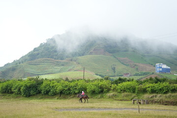 Natural views on expansive hills