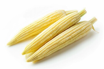 Fresh ears of corn on a white surface