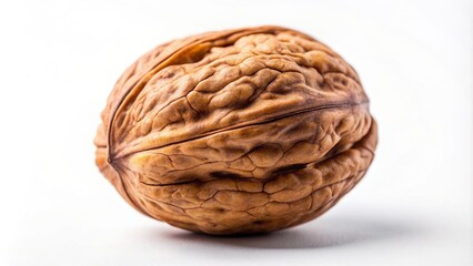 culinary, unshelled, brown, tasty, nut, macro, A close up photograph of a single whole walnut resting on a white background capturing the intricate details and textures of the nut