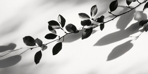 Tranquil Silhouette of Leaves on a Branch against a Soft Sunset