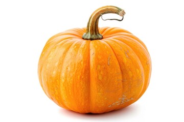 Obraz premium Single orange pumpkin on a white background