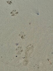 footprints on the beach