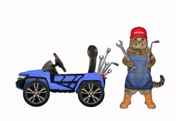 Cat mechanic with wrenches near blue car