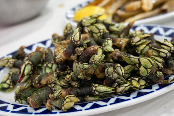 Percebes Spanish Gooseneck Barnacles