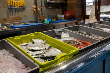 Fresh fish in a fisher shop ready to sell