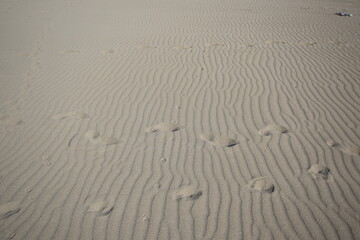 sand ripples in the sand