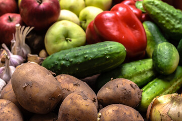 Bio food. Garden produce and harvested vegetables. Fresh farm vegetable, background.