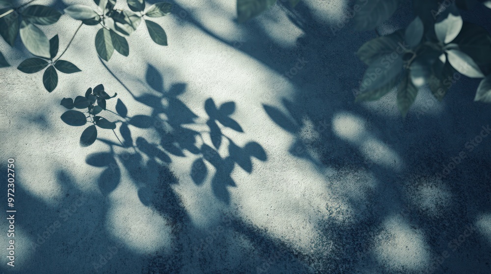 Wall mural abstract shadows of leaves on a textured surface, creating a serene atmosphere.