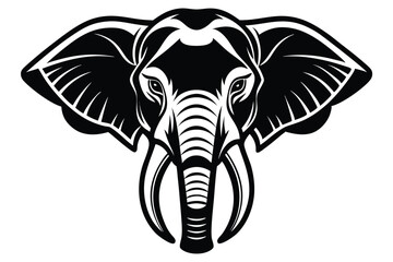 elephant head illustration 