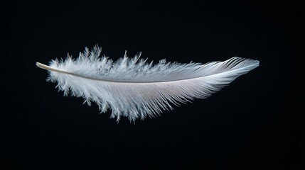 Obraz premium A single white feather floating against a black background.