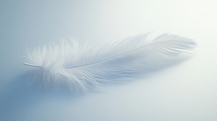 Fototapeta premium Minimalist close-up of a single feather lying on a smooth, white surface, with delicate shadows and subtle textures, symbolizing lightness and grace, 4K hyperrealistic photo.