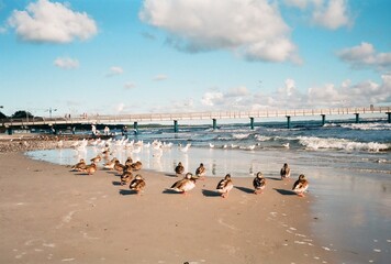 Die Ostsee