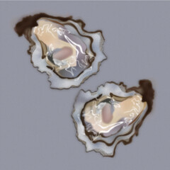 A Pair of Oysters
