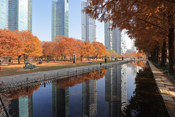 Seongdong-gu, Seoul, South Korea - November 14, 2020: Samll pond in autumn with the reflection of Galleria Foret Apartment at Seoul Forest