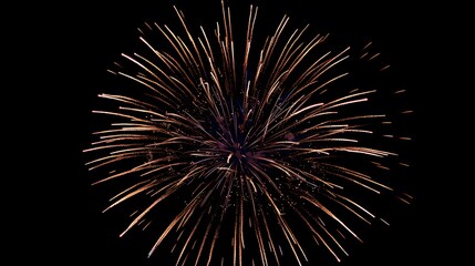 Obraz premium Fireworks Display: Colorful fireworks exploding in the night sky, creating beautiful patterns.