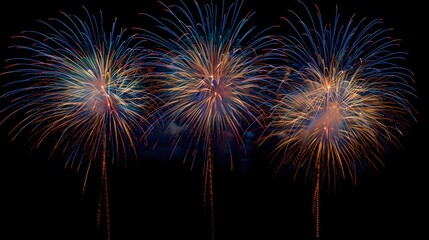 Fireworks Display: Colorful fireworks exploding in the night sky, creating beautiful patterns.