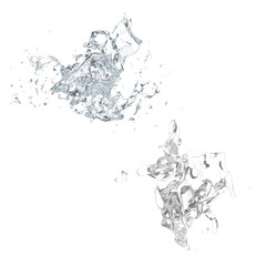 Obraz premium water splash transparent background