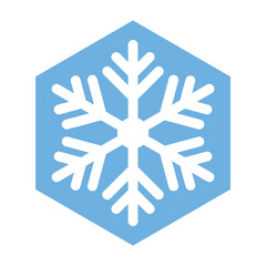 Snowflake isolated on white background. Christmas icon. Vector illustration