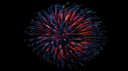 Obraz premium Fireworks Display: Colorful fireworks exploding in the night sky, creating beautiful patterns.