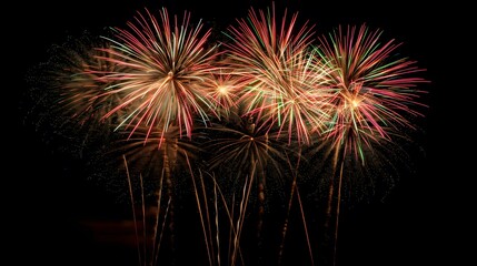 Fireworks Display: Colorful fireworks exploding in the night sky, creating beautiful patterns.