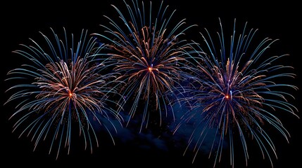Obraz premium Fireworks Display: Colorful fireworks exploding in the night sky, creating beautiful patterns.