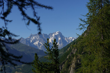 Mont Blanc view