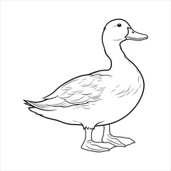 Coloring book of duck