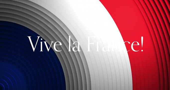 Animation of vive la france text and circles with french flag